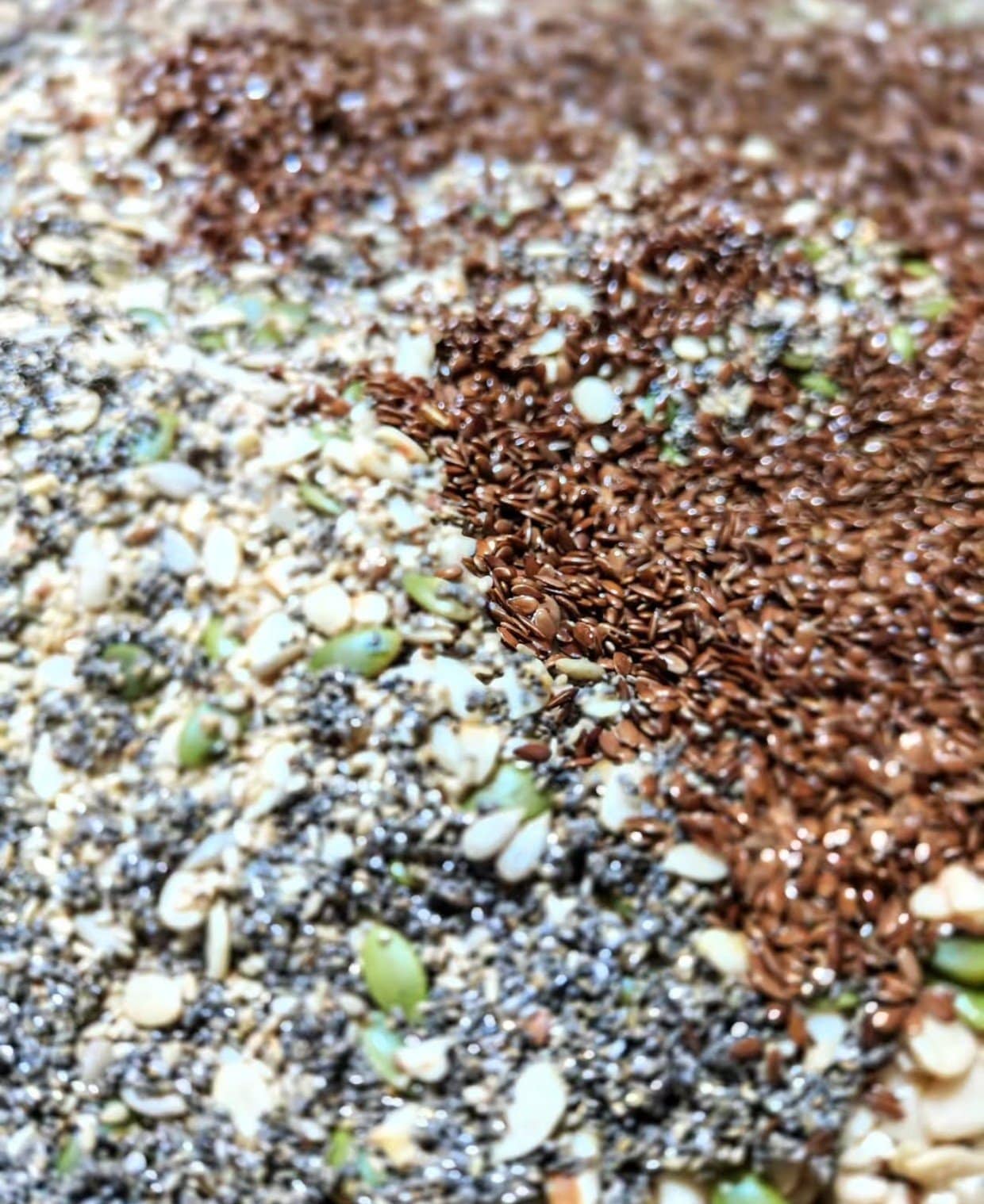 Seed Paradise, 250 g - Image 2